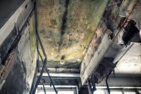 Best Industrial Mold Remediation  in Broadmoor, CA